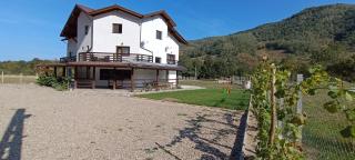 AGROPENSIUNEA ZAMOLXIS - Costeşti - 8