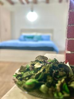 RESIDENCE ZAR - 2 - Triest - 5