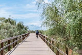 COTOVIA HOME vacations steps from the beach - Altura - 6