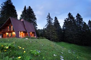 Chalet Alpinka - 7