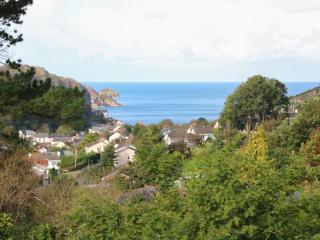 Linden View - Ilfracombe - 9