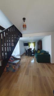 Casa Viorica -Botoș - 1