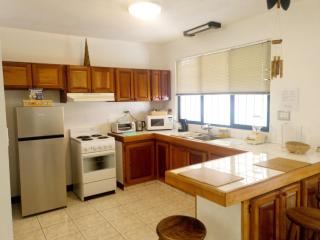 Don Carlos Place LOWER UNIT - Alajuela - 2