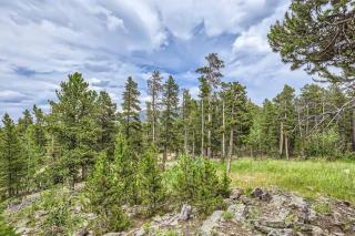 Cozy A-Frame Retreat - Hot Tub, Forest Views - Black Hawk - 3