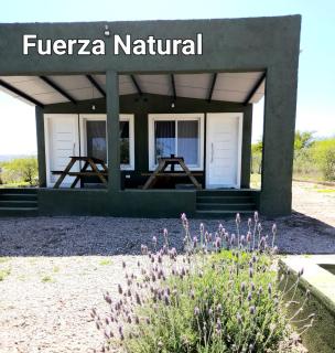 Fuerza Natural - 7