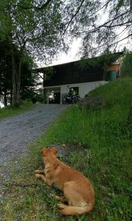 Gemütliche FeWo mit Sauna inmitten der Berge - Meiringen - 1