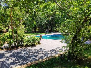 Chácara com 2 piscinas e 3 suítes - Campo Grande - 1
