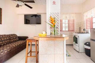 Shaw Park Gem Apt 12A - Ocho Rios - 1