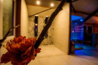 B&B en Wellness de Waalhoeve - Angerlo - 4