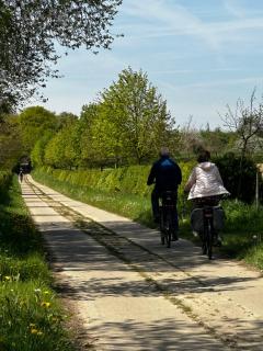 De Verborgen Parel B&B - Borgloon - 2