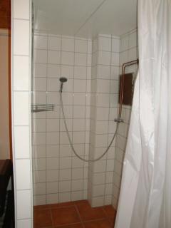 Maison de vacances Alsace - Ferienhaus Elsaß - Holiday house Alsace - Bischwiller - 8