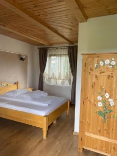 Casa Piscul Verde Vladeni - Vlădeni - 6
