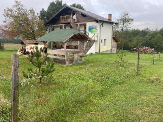 Casa Piscul Verde Vladeni - Vlădeni - 8