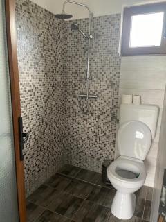Casa Piscul Verde Vladeni - 5