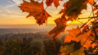 Berggasthof Koitsche im Naturpark Zittauer Gebirge - 6