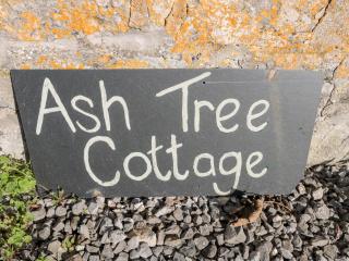 Ash Tree Cottage - Cowbridge - 8