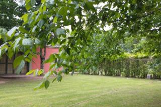 Casa familiar en Los Caminos del Vino. - 2