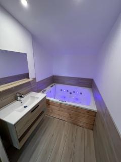 Jolie maison en pierre esprit chalet avec Jacuzzi - 0