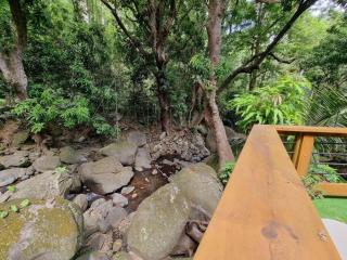 L'ilet Paradise - Pointe-Noire - 7