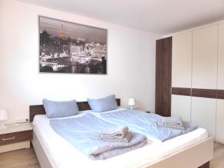 Paris Winterberg Ferienwohnung 6 Pers WiFi in City near Lift - Winterberg - 1