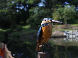 Charmant Gîte Campagnard près du Mans - Calme, Confort et Commodités à Proximité - FR-1-410-327 - 5