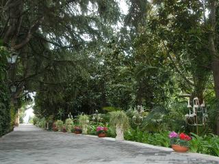 Villa Solaria - Santa Venerina - 8