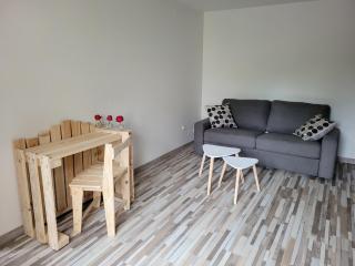 Gîte Confortable près du Mans avec Piscine, Parc de Jeux et Vélo - FR-1-410-364 - 3
