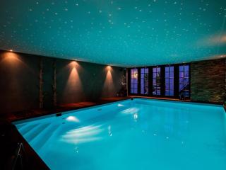 Holiday apartment with starry sky pool - Culemborg - 6
