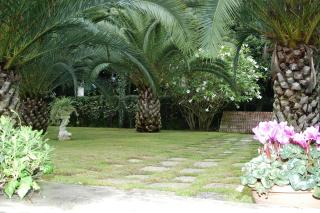 Villa Solaria - Santa Venerina - 6