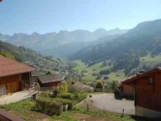 Appartement 6 personnes, animaux acceptés, parking - Le Grand-Bornand - FR-1-467-39 - Le Grand-Bornand - 5