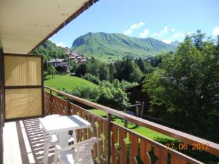 Appartement confortable 4 pers, proche commerces et pistes, parking inclus - FR-1-467-54 - Le Grand-Bornand - 3