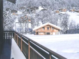 Appartement 52m² pour 5 pers proche pistes, accès facile, animaux admis – Le Grand-Bornand Village - FR-1-467-77 - Le Grand-Bornand - 2
