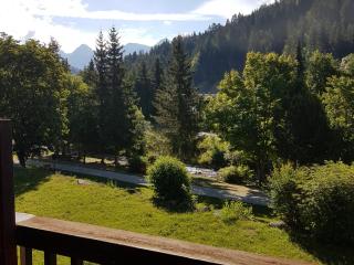 Appartement cosy pour 6 au Grand-Bornand, proche centre et navette gratuite - FR-1-467-122 - Le Grand-Bornand - 1