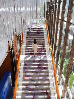 Kerry Hotel, Beijing by Shangri-La - 5
