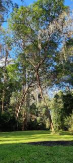 Bird Songs Getaway Accommodation - 5