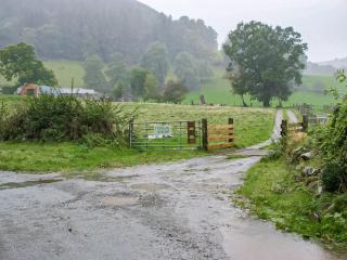 Barcud Coch - Uk44539 - Hirnant - 2