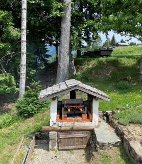 Chalet Le Remarquable, Crest Voland - 2