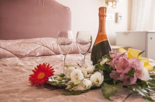 Hotel Villa Serena - Marghera - 1