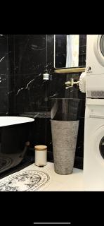Rose Blossom apartment in Paris - Vanves - 3