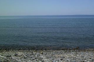 Villa Secchi bifamiliare sul mare IUNP4784 - Sorso - 2