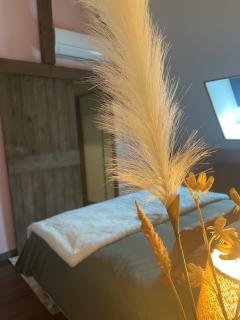 Grande chambre confortable - Saint-Amand-les-Eaux - 5
