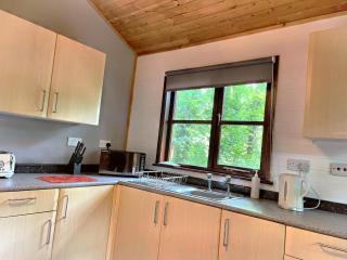 Goldcrest 3-Hot Tub-Woodland Lodges-Carmarthenshire-Tenby - Carmarthen - 3