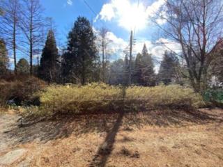 森の中のぽつんとワンワン別荘 - 2