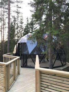 Furukrona - Private Glass Dome, Sauna and Hot Tub! - Lekvattnet - 3