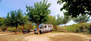 Camping Roca Grossa - 4