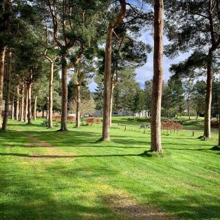 The Malt Van - Beautiful, luxury static caravan - Aberlour - 5