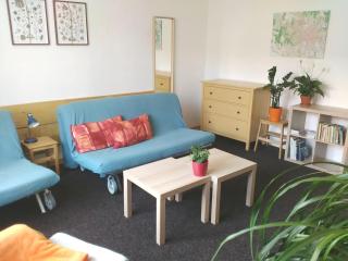 Apartmány Krkoškova - 5