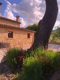 Villa Serena - Teloni - 3