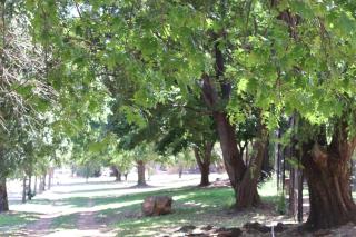 Khaya Africa Guesthouse - Midrand - 1