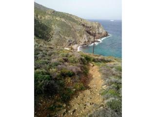 Seagull Syros Seaside - 7